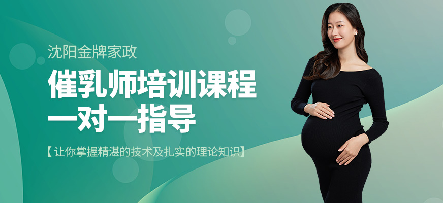 沈陽(yáng)金牌家政催乳師培訓(xùn)課程