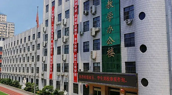 簡介