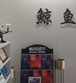 鯨魚留學(xué)簡(jiǎn)介
