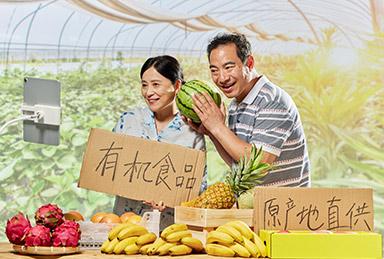 主播課程內(nèi)容