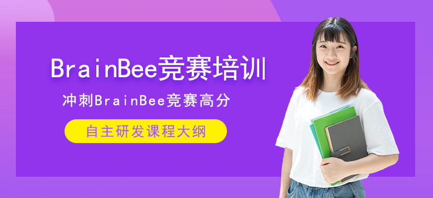 BrainBee競賽培訓