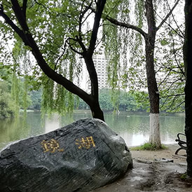 湖邊景色
