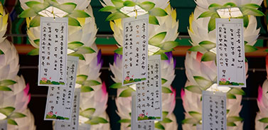 韓國(guó)燈會(huì)