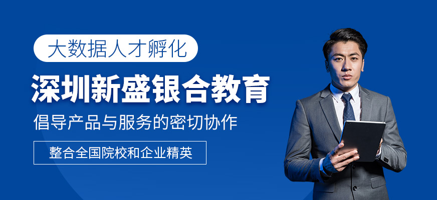 深圳新盛銀合教育