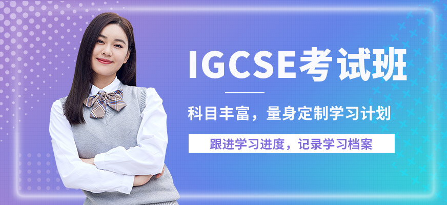 武漢威學(xué)一百IGCSE考試班