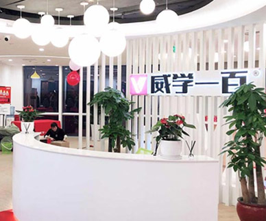 個(gè)性化教學(xué)"