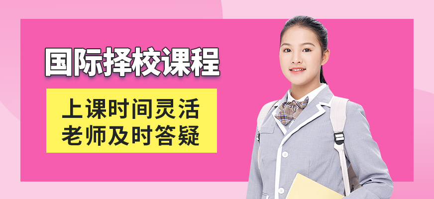 威學(xué)一百國際擇校課程