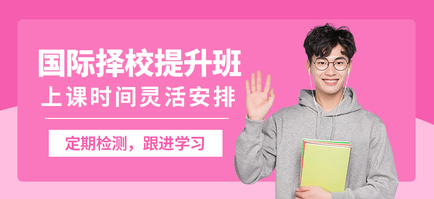 威學(xué)一百國際擇校提升班