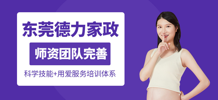 東莞德力家政