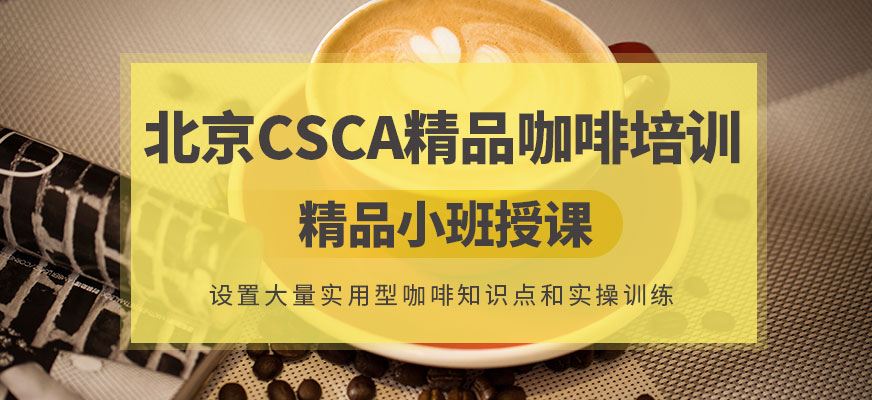 北京CSCA精品咖啡培訓(xùn)