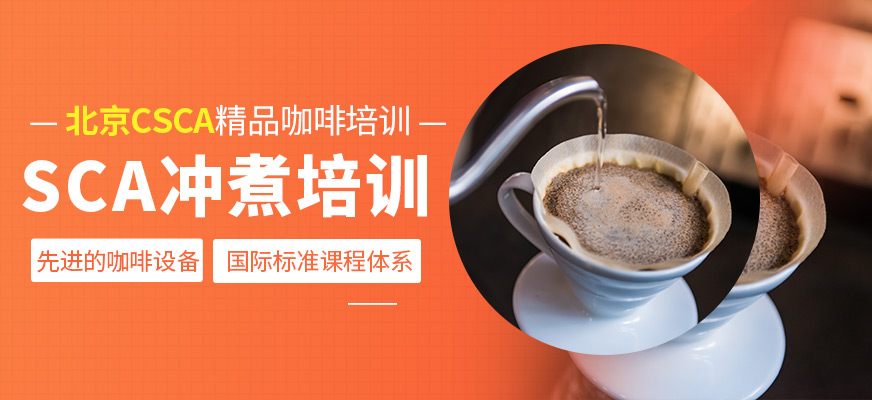 SCA沖煮培訓(xùn)