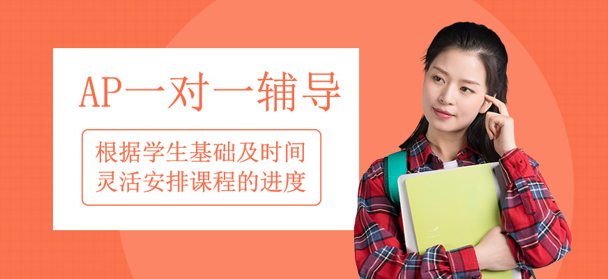 AP一對一定制輔導