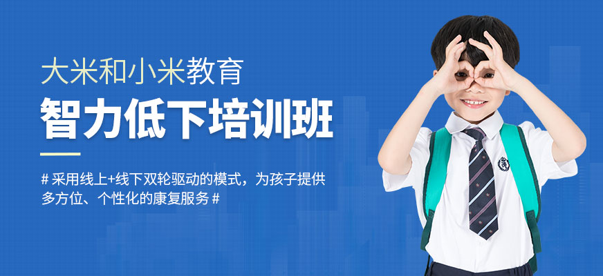 智力低下干預(yù)培訓(xùn)