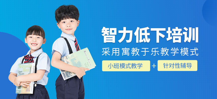 智力低下干預(yù)培訓(xùn)