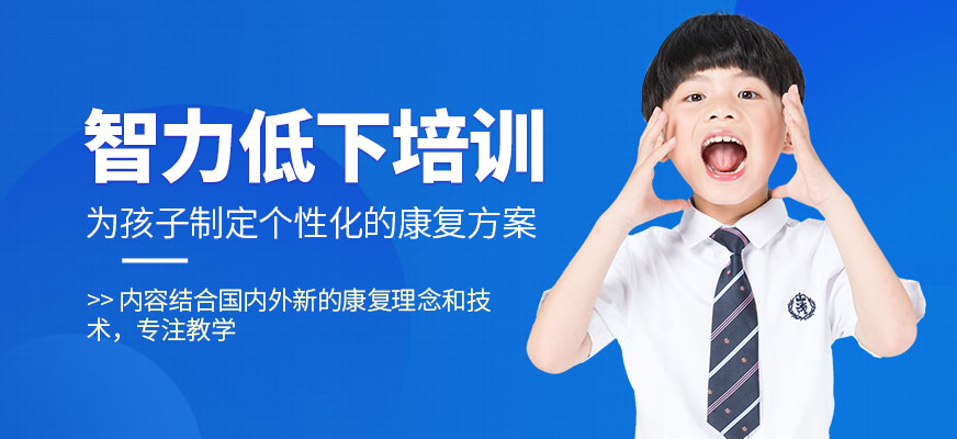 智力低下干預(yù)培訓(xùn)