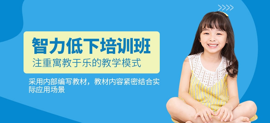 智力低下干預(yù)培訓(xùn)