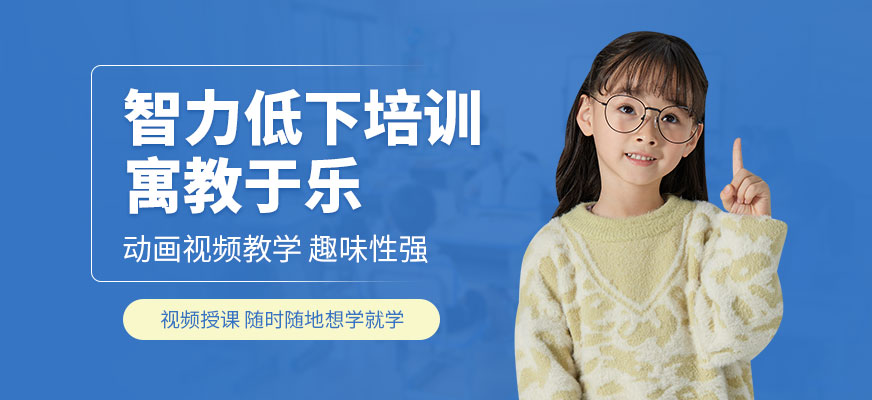 智力低下干預(yù)培訓(xùn)