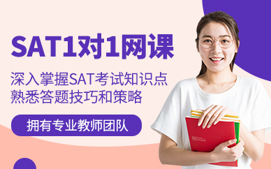 濟(jì)南sat一對(duì)一網(wǎng)課