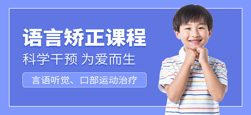 康語語言發(fā)育遲緩培訓(xùn)