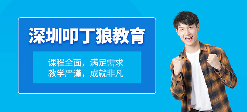 深圳叩丁狼教育