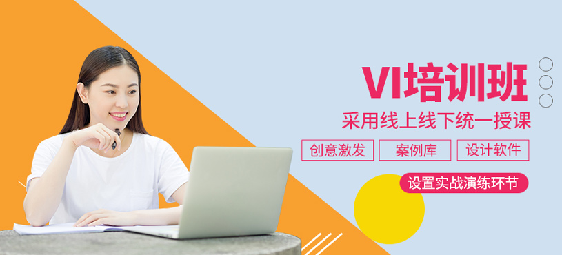 VI培訓(xùn)