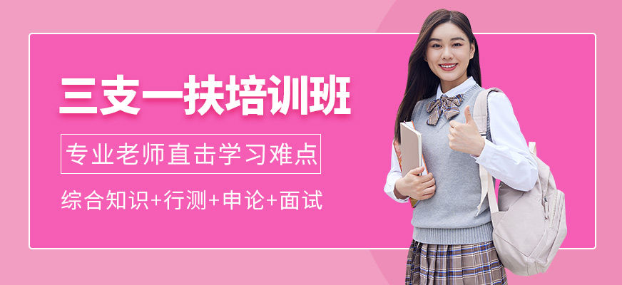 成公教育三支一扶學習