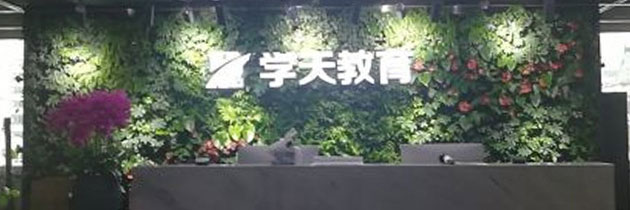 學天教育