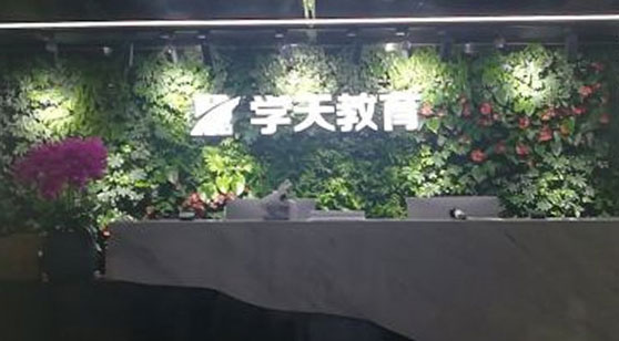 學天教育