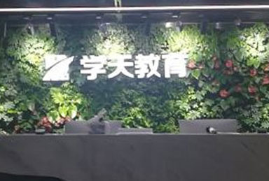 學天教育