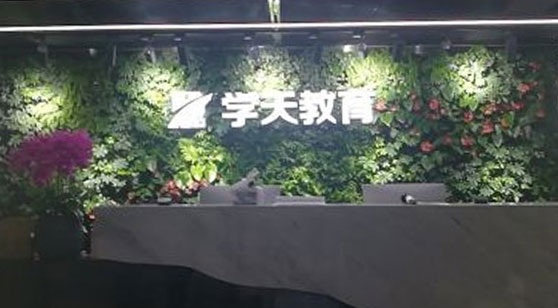 學天教育