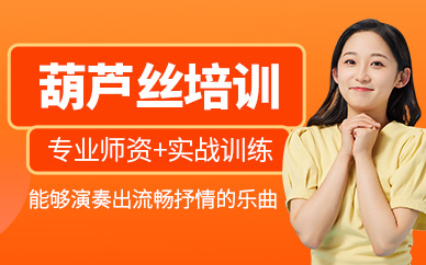大連葫蘆絲培訓(xùn)