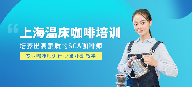 上海溫床咖啡培訓(xùn)