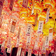韓國(guó)花燈節(jié)