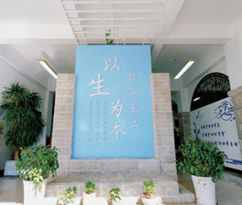 弧力考研門面
