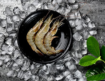 水產(chǎn)蝦