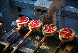 日本水井