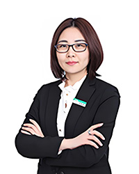 朱海菲老師