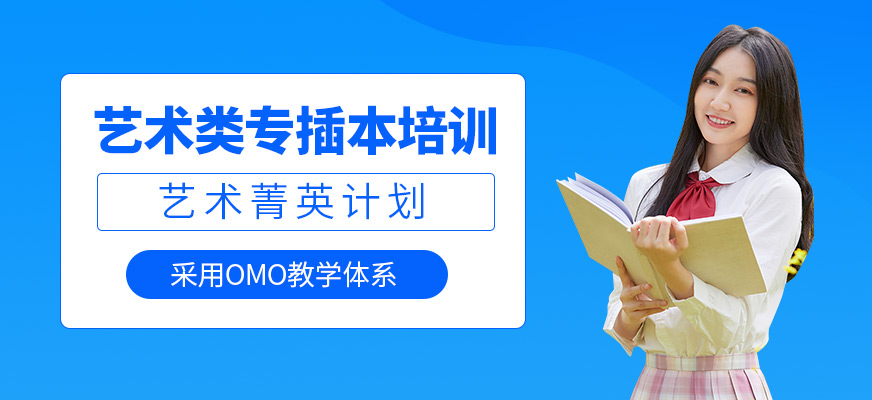 藝術(shù)類專插本培訓(xùn)