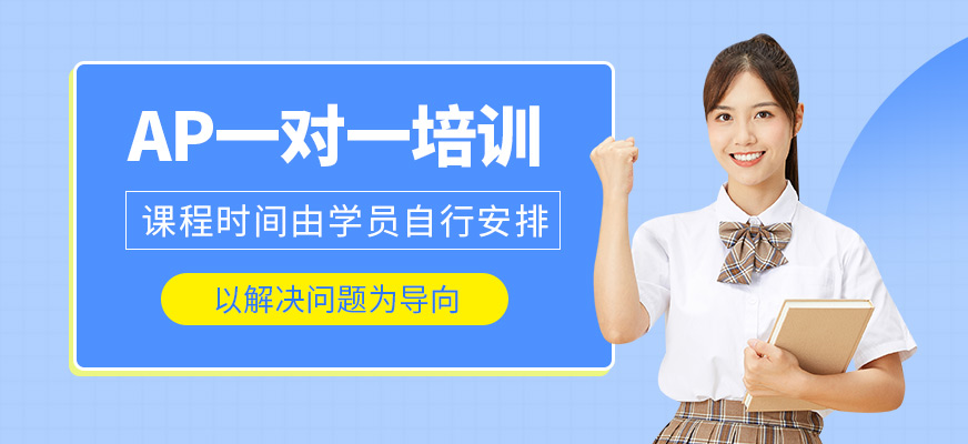 AP一對(duì)一培訓(xùn)