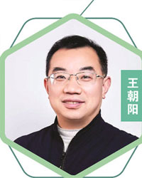 王朝陽