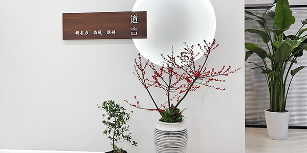 盤栽
