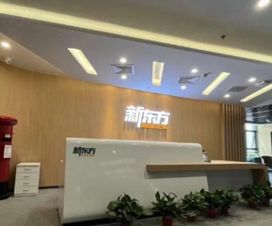濟(jì)南新東方國際教育簡介
