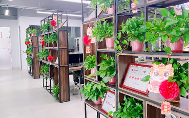 展示區