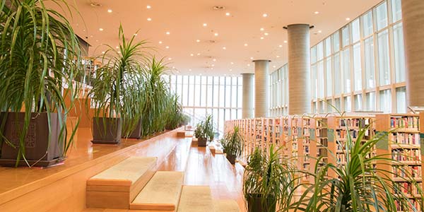 圖書館