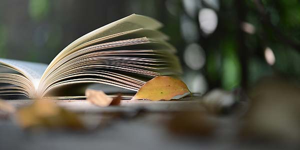 翻開的書
