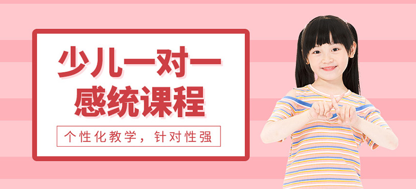 少兒一對一感統(tǒng)課程