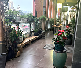 無憂走廊環(huán)境