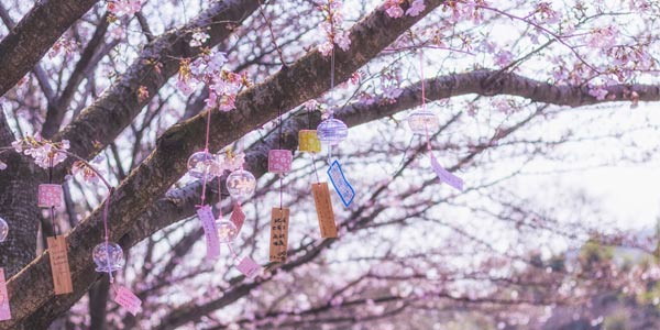 日本風(fēng)景