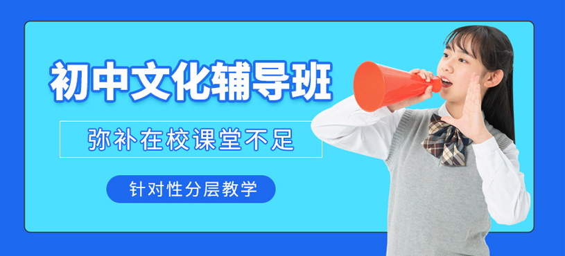 初中文化輔導(dǎo)