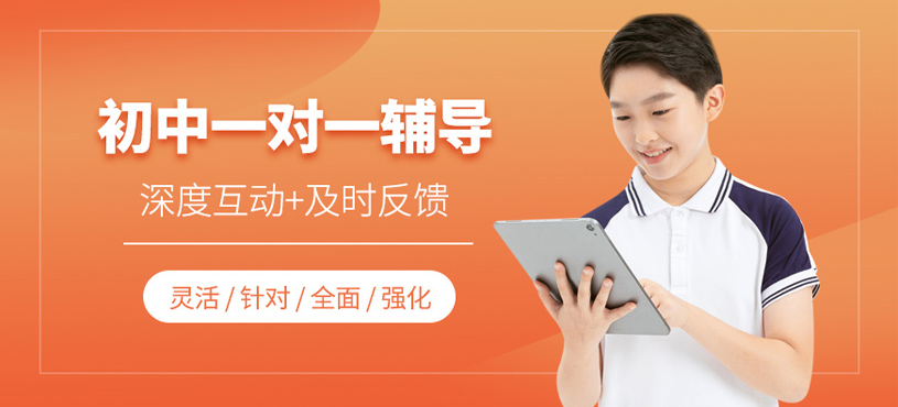 初中一對一輔導(dǎo)